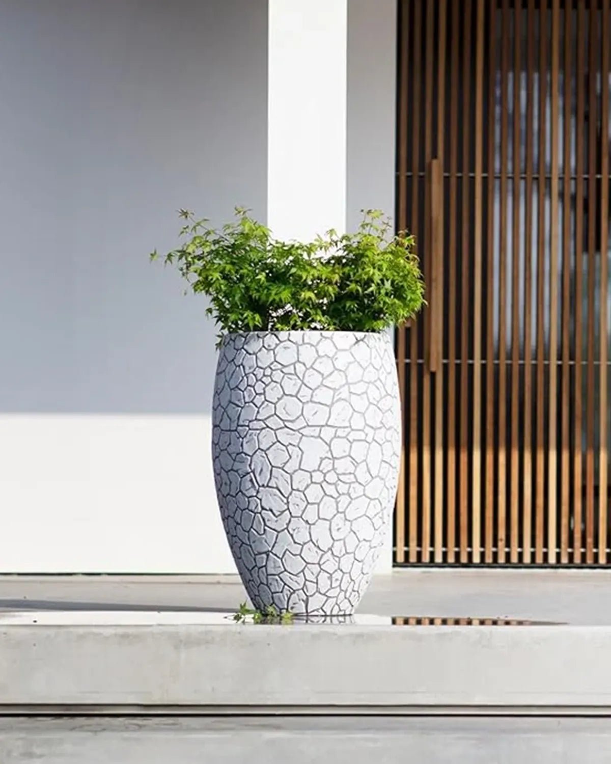 Vase Elegant Deluxe Clay - Acacia Garden Center