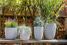 Vase Elegant Low Groove - Acacia Garden Center