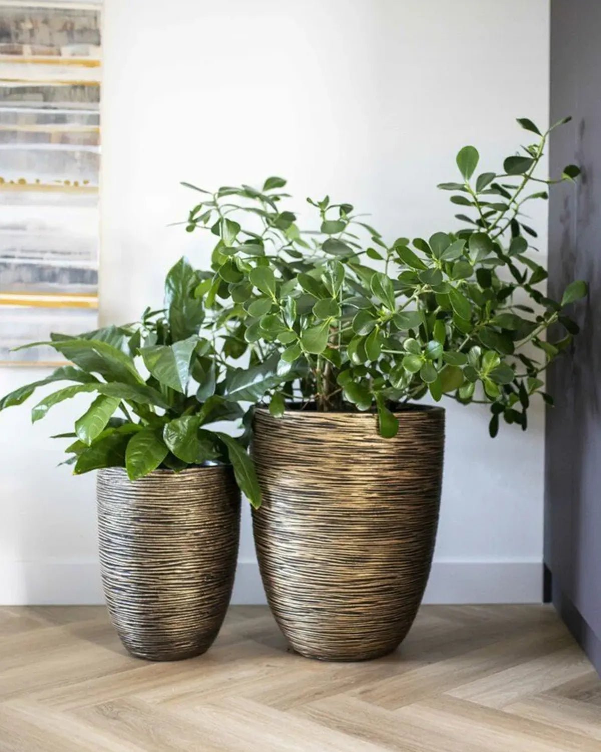 Vase Elegant Low Rib - Black Gold - Acacia Garden Center