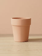 Vaso Alto Arena - Acacia Garden Center
