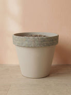 Vaso Alto Volcano Graffiata - Acacia Garden Center