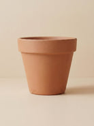 Vaso Arena (Arena Vase) - Acacia Garden Center