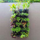 Vertical Planting Kit - Acacia Garden Center