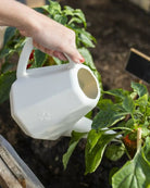 Watering CAN Doppio 2L - Acacia Garden Center