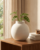 White Cube Ceramic Pot | 20 cm Square Planter - Acacia Garden Center