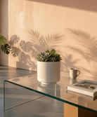 White Inner Glaze Ceramic Pot | 3 Sizes Available - Acacia Garden Center