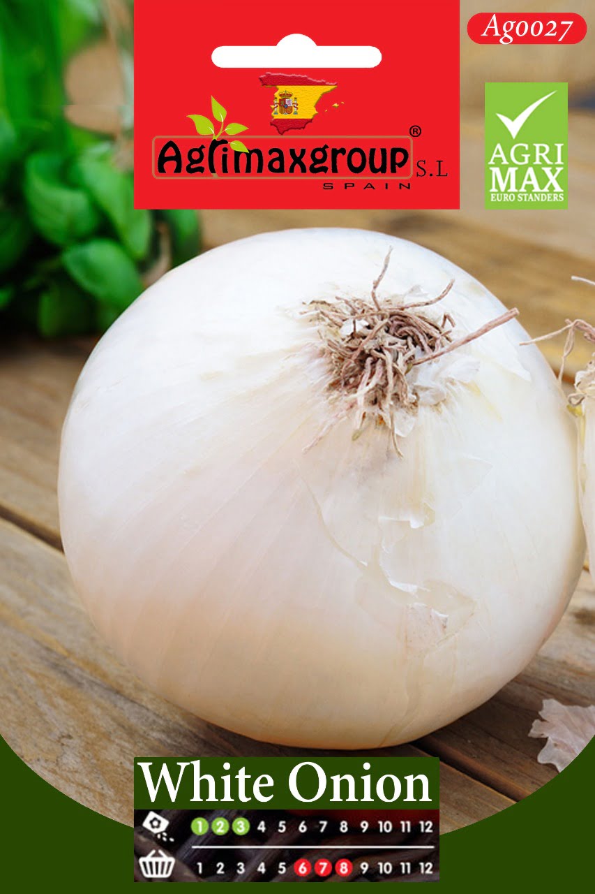 White Onion - Acacia Garden Center